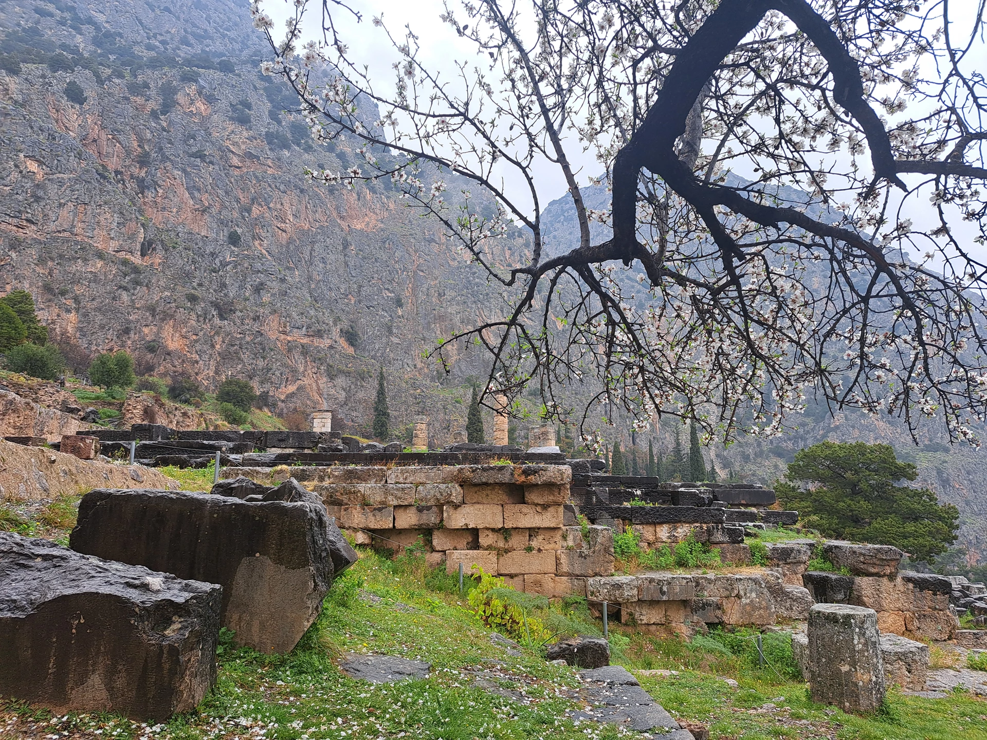 Delphi & Eleusis