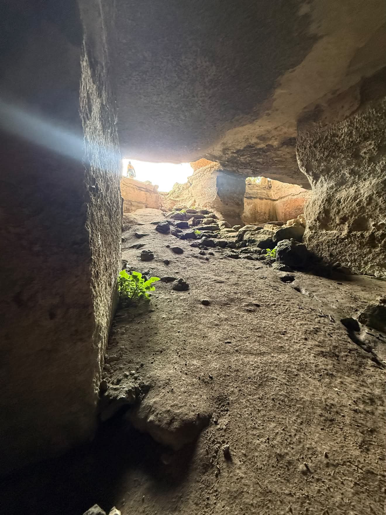 Eleftherna ancient city tour