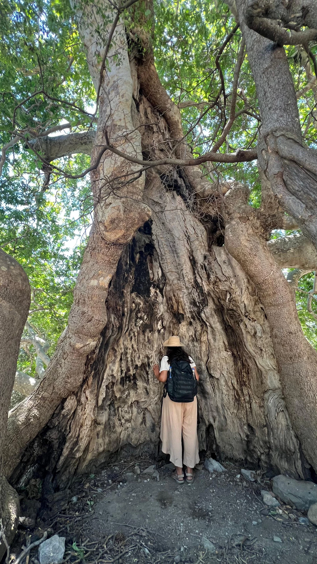 Mystical Crete