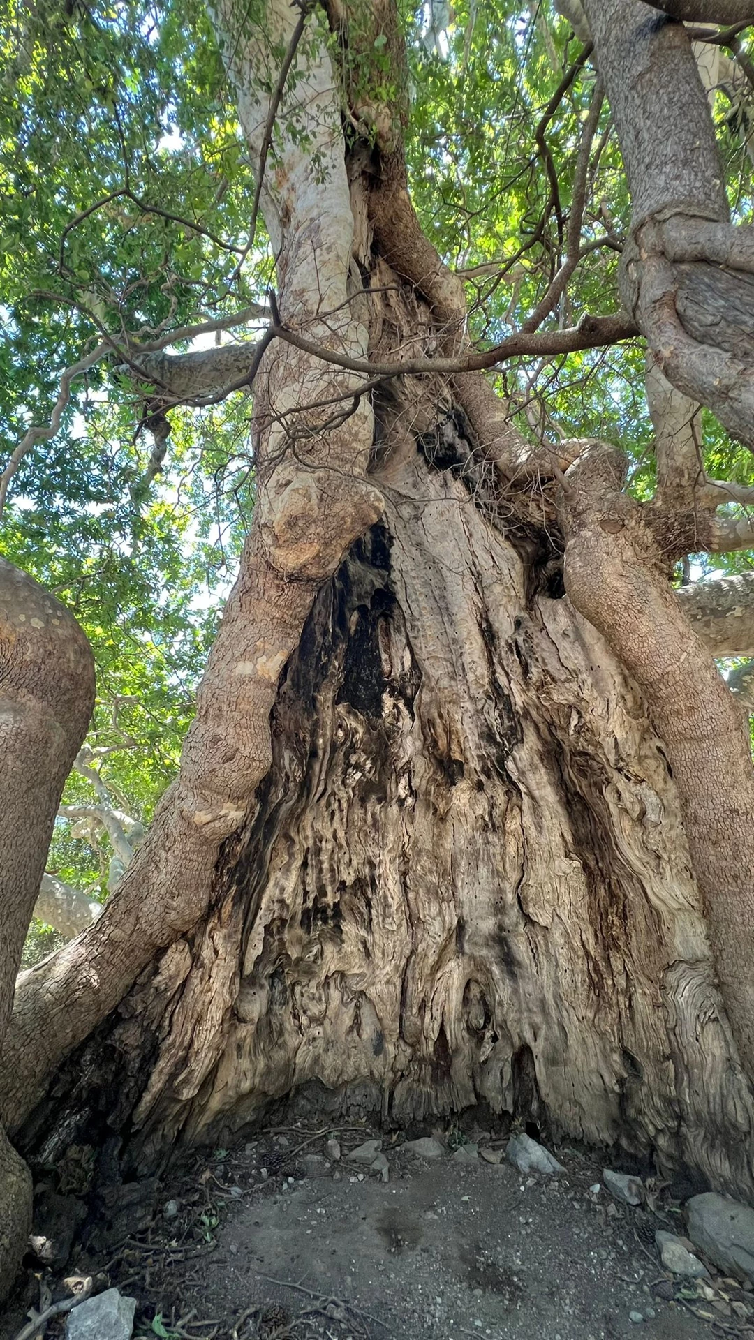 Mystical Crete
