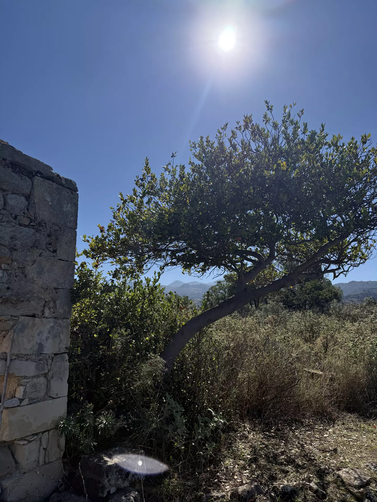 Knossos Valley Hike