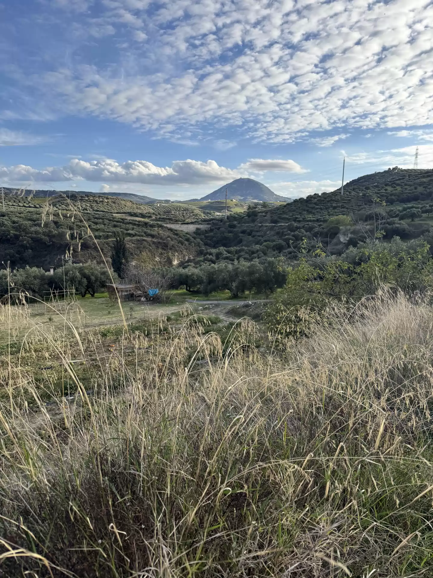 Knossos Valley Hike